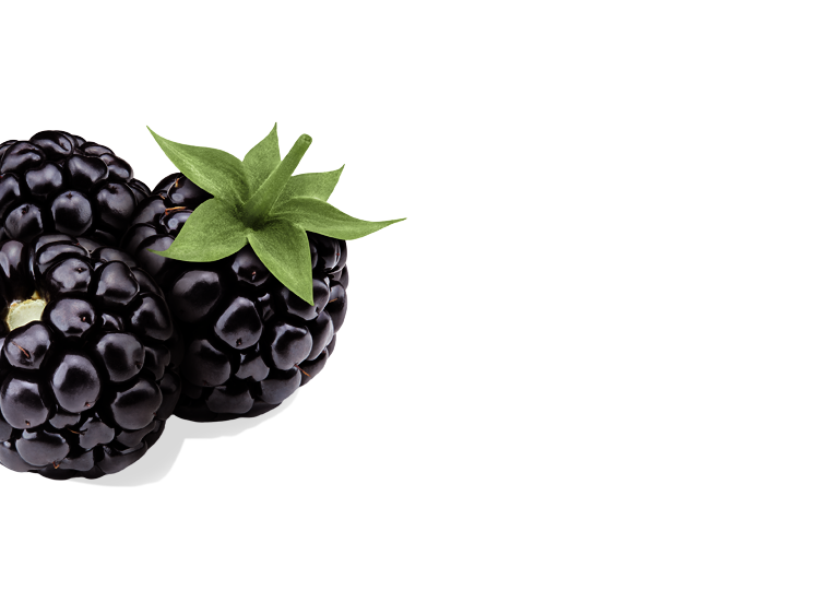 Brombeeren links
