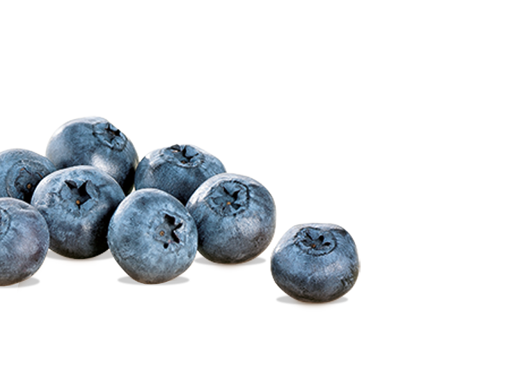 Blaubeeren links
